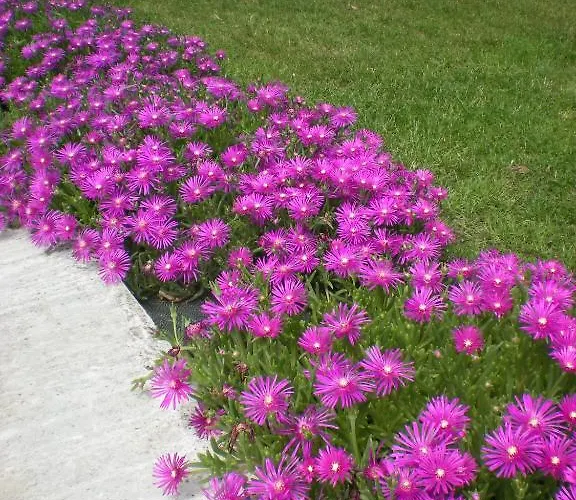 Manoir Larcouillet Frühstückspension 3*