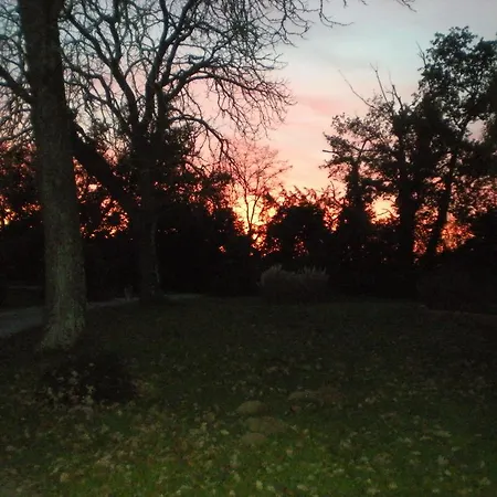 Bed & Breakfast Manoir Larcouillet