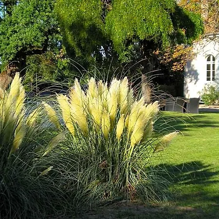 Manoir Larcouillet
