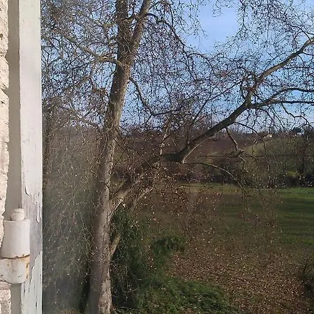 לינה וארוחת בוקר Manoir Larcouillet 3*