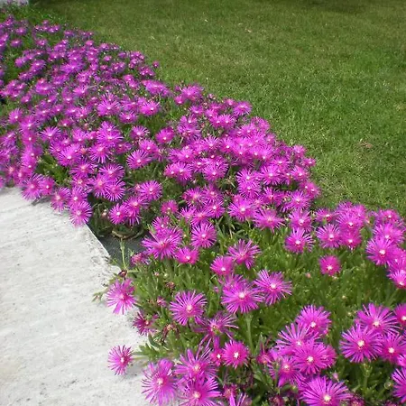 Manoir Larcouillet לינה וארוחת בוקר 3*