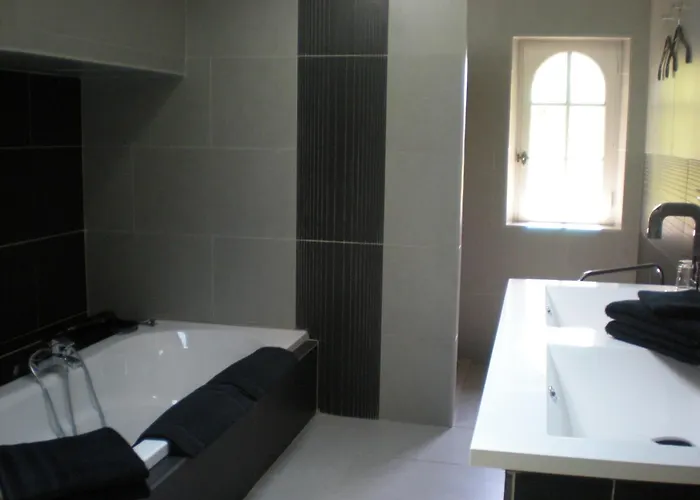 Bed & Breakfast Manoir Larcouillet Merles